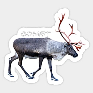 Comet Sticker